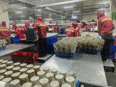 市農(nóng)業(yè)農(nóng)村局局長于靈才帶隊赴廈門開展招商引資 促進農(nóng)業(yè)貿(mào)易合作