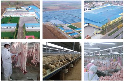 縣委書記李劍青深入康遠(yuǎn)公司調(diào)研調(diào)度重點(diǎn)項(xiàng)目建設(shè)工作